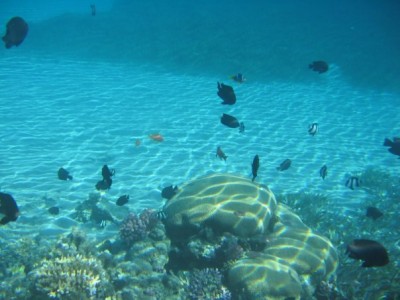 x_1b309515.jpg