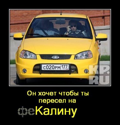 феКалина.jpg