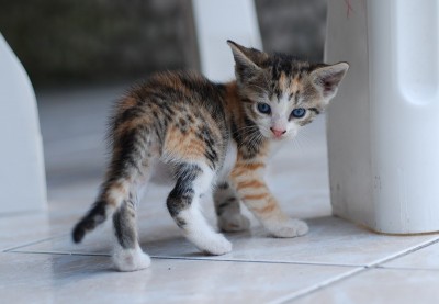 DSC_0391.jpg