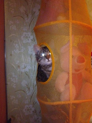 Photo_0001_1.jpg