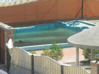 DSCN0937.jpg