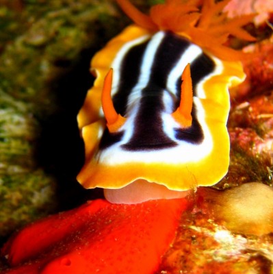 IMG_3264--.JPG