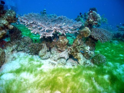 M0011156_2.jpg