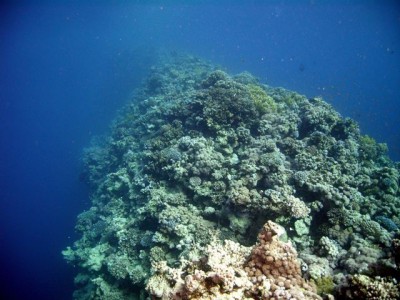 M0011138.jpg