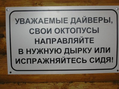 мои фотки 050.jpg