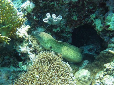 IMG_2360.JPG