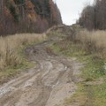 DSC00667.JPG