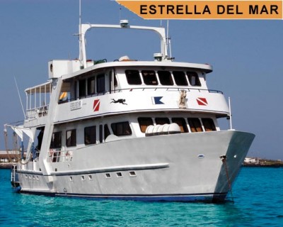 estrellademar1.jpg