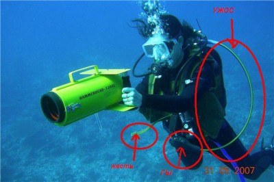 ff7551abd468.jpg