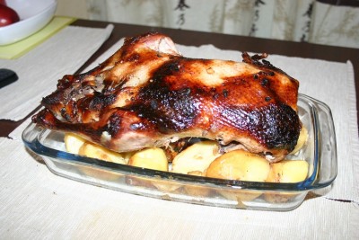 duck.jpg