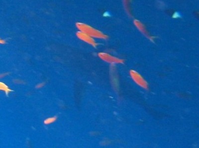 58bda41f5e60.jpg