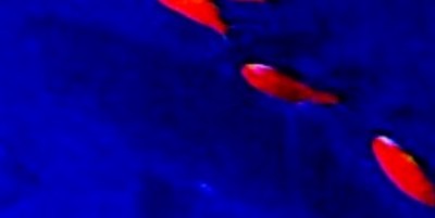 58bda41f5e60.jpg