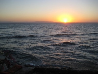 IMG_8428--.JPG