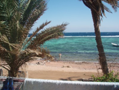 OurSeaView.jpg