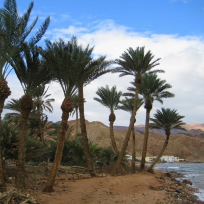 IMG_0612--.jpg