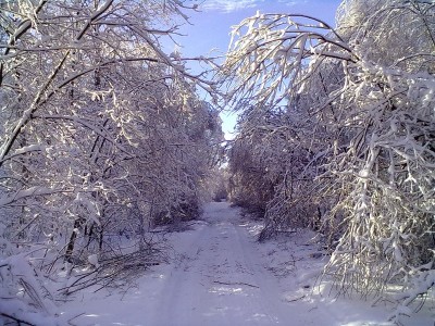 0_6b4d8_82b15847_XL.jpg