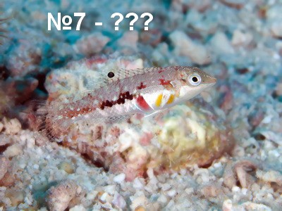 PB239646.jpg
