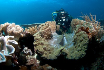 _DSC3680[1].jpg