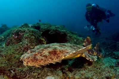 _DSC3263[1].jpg
