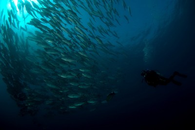 _DSC4071[1].jpg