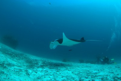 _DSC3968[1].jpg