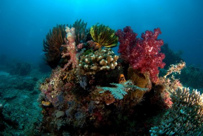 _DSC4077[1].jpg