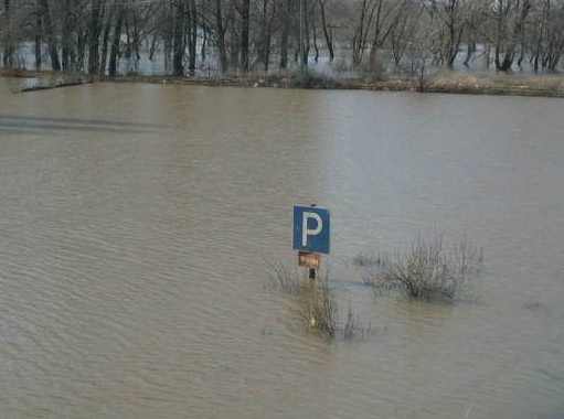parking_w.jpg
