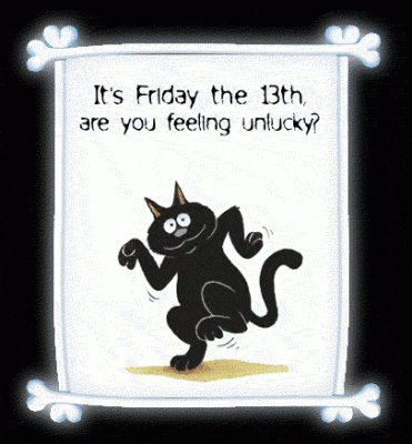 cat13.gif