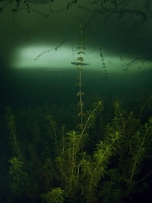 light-0173.jpg