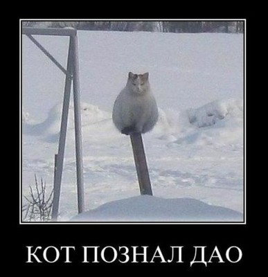 KotDao.jpg
