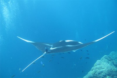 IMG_1124.JPG