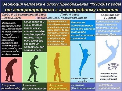 evoluzion_autotrof.jpg