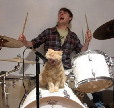 singCat.jpg