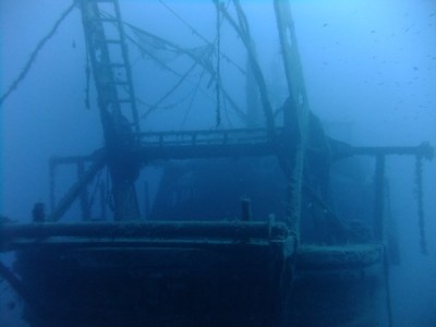 tn_DSCF8312.JPG