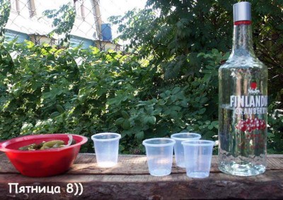 Finlandia Vodka.jpg