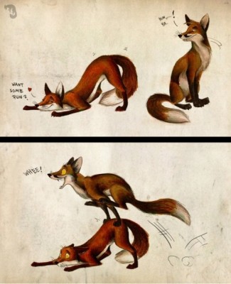 somefun_fox.jpg