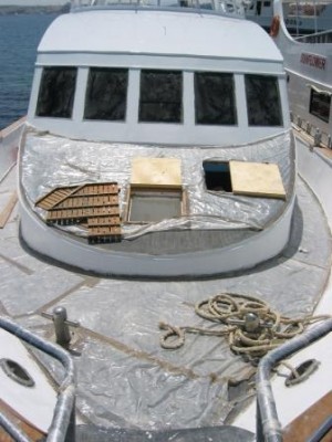 IMG_9796.JPG
