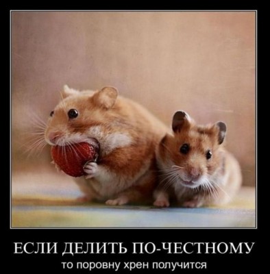 469_demotivatory_32.jpg