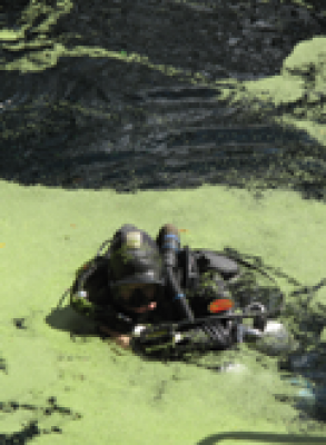 немного зелный...Мартин уменьш.png