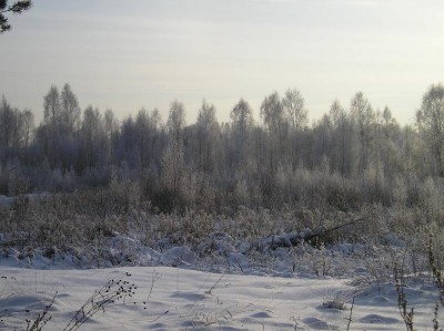 P1050027.JPG
