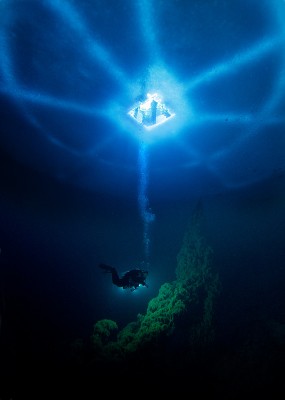 4171894_large.jpg