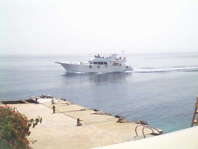 marine_22.jpg