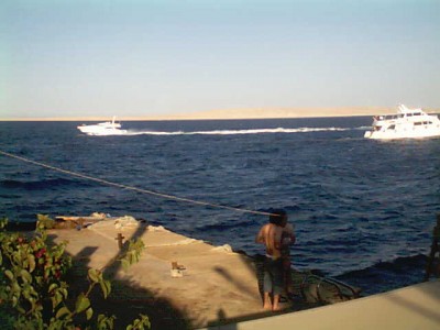 marine_48.jpg