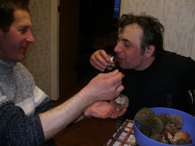 P1010158.jpg