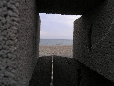 08.jpg