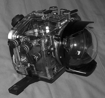 R0013904_1.jpg