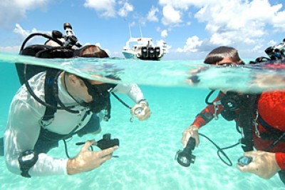 rhea_bimini-spgcheck.jpg
