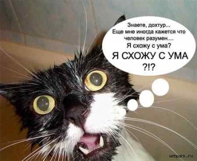а кто разумен.jpg