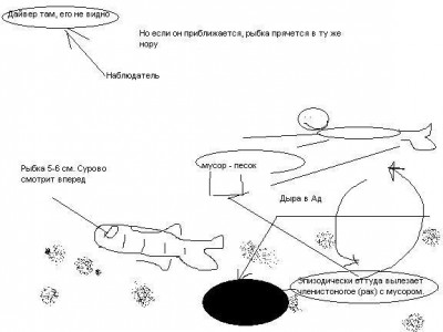 Безымянный.JPG