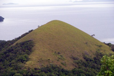 uson1.jpg